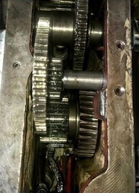 Interior de la caja de engranajes mostrando el acople entre engranajes y rodamientos